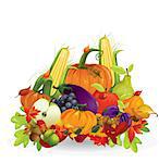 Autumn vegetable and fruits