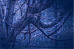 artwork in painting style gloomy wood in dark blue tones