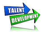 talent development - text in 3d arrows, ability growing concept words
