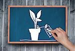 Composite image of hand drawing plant with chalk on chalkboard on grey wooden planks