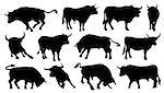 bull silhouettes on the white background