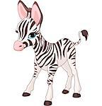 Illustration of standing cute zebra foal