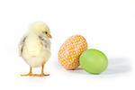 Easter Themed Image With Baby Chicks and Eggs