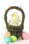 Easter Themed Image With Baby Chicks and Eggs