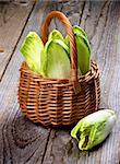 Fresh Crunchy Endive Leaves in Wicker Basket closeup on Rustic Wooden background