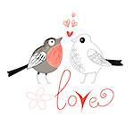 funny love birds on a white background