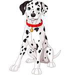 Illustration of a cute Dalmatian dog wearing a red collar