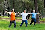 seniors  doing gymnastics in the park