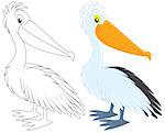 Pelican, color and black-and-white outline vector clip-arts on a white background