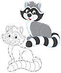 Raccoon sitting, color and black-and-white illustrations on a white background