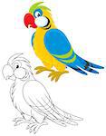 Motley parrot, color and black-and-white outline illustrations on a white background