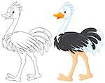 Ostrich walking, color and black-and-white outline illustrations on a white background