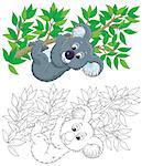 koala bear hanging on an eucalyptus branch, color and black-and-white outline illustrations on a white background