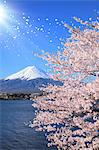 Mount Fuji