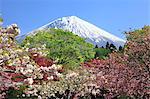 Mount Fuji