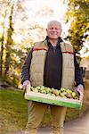 Senior man carrying crate of apples