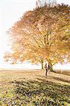 Couple standing by tree in autumn