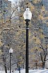 Lamppost in a garden after a snow storm, Boston Common, Boston, Suffolk County, Massachusetts, USA