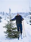 Smiling man with spruce tree