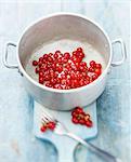 Cooking the redcurrants with sugar and water over a brisk heat