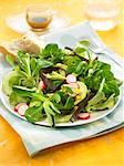 Corn lettuce,sea thong,avocado,radish and cucumber salad