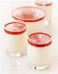 Panna cotta with summer fruit puree