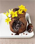 Chocolate fondants