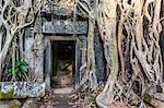 Jungle overgrowth at Ta Prohm Temple (Rajavihara), Angkor, UNESCO World Heritage Site, Siem Reap Province, Cambodia, Indochina, Southeast Asia, Asia