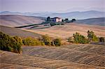 Typical Tuscan homestead and landscape near Montalcino, Val D'Orcia, Tuscany, Italy