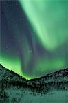 The Aurora Borealis, the spectacular Northern Lights fill the sky with dazzling green light above Kvaloya island at Tromso in the Arctic Circle in Northern Norway