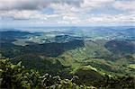 View in the Springbrook National Park, New South Wales, Australia, Pacific