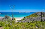 View over Wilsons Promontory National Park, Victoria, Australia, Pacific
