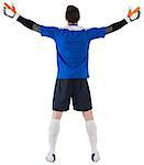 Goalkeeper in blue ready to save on white background