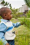 Boy Examining Pine Tree Branch, Maryland, USA