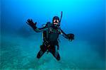 Diving, Adriatic Sea, Croatia, Europe