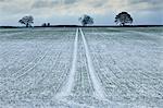 Frosty scene field and trees during hoar frost in winter, The Cotswolds, UK