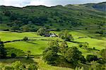 Hill farm near Ambleside in the Lake District National Park, Cumbria, UK