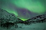 The Aurora Borealis, the spectacular Northern Lights turn the sky green and purple above Kvaloya island at Tromso in the Arctic Circle in Northern Norway