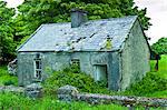 Derelict old period cottage in need of renovation near The Burren at Kilfenora, County Clare, West of Ireland