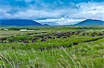 Connemara Landscape and Peat Bog, The Old Bog Road near Roundstone, County Galway, Ireland