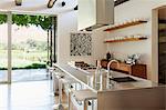 Modern kitchen overlooking patio and vineyard