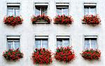 a typical switzerland windows with flowers