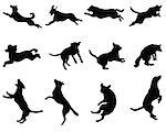 Black silhouettes of jumping dogs, vector