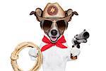 cool cowboy dog with a pistol , hat and a  rope