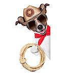 cool cowboy dog behind white blank banner or placard