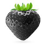 Realistic illustration of black strawberry on white background