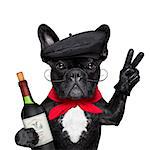 french bulldog with red wine,  peace or victory fingers and french beret