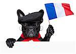 french bulldog holding a flag of france