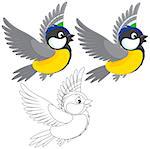 Little tomtit flying, color and black-and-white outline illustrations on a white background