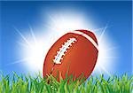 American football ball on grass  American football background illustration